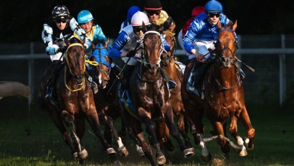 Sherger Cup