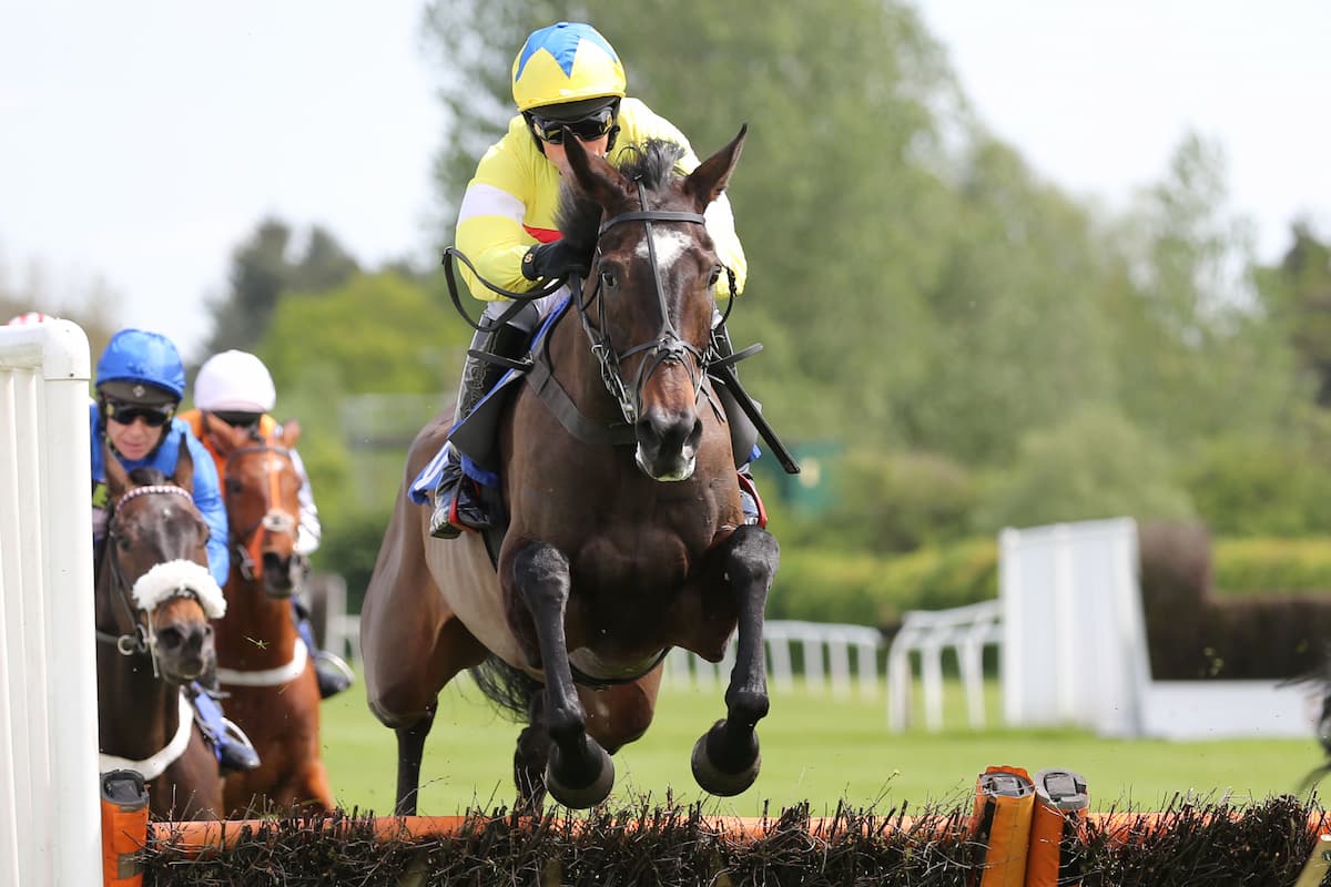 Dan Skelton