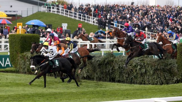 BHA’s Rebuild of British Jumping Explained