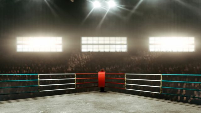 Meldrick Taylor in action during a professional boxing match