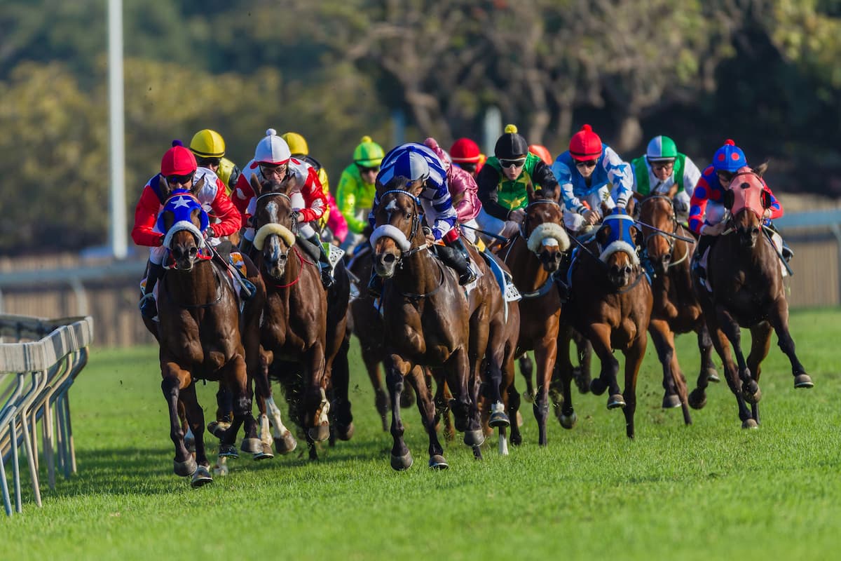Willie Mullins' Rise to Prominence and Subsequent Steps in Racing