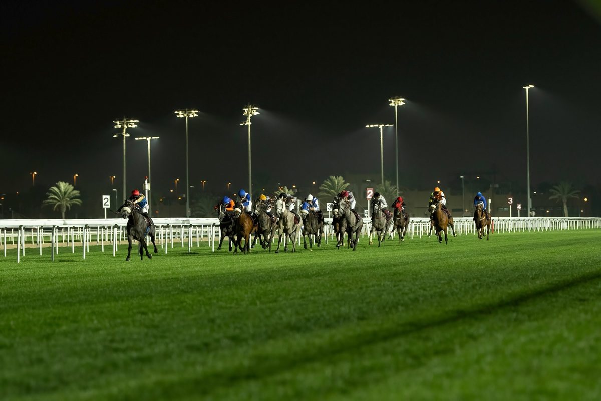 Abu Dhabi Championship