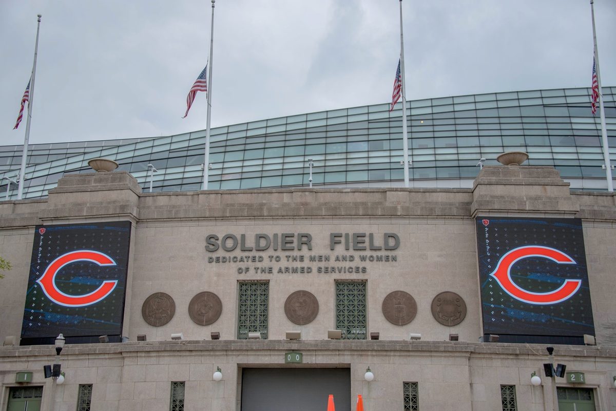 Resurgent Bears Make Headlines