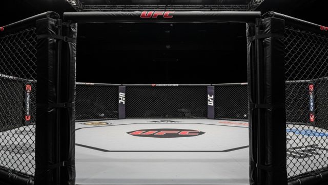 The Journey of The Assassin Baby