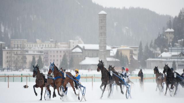 Skikjöring in St. Moritz