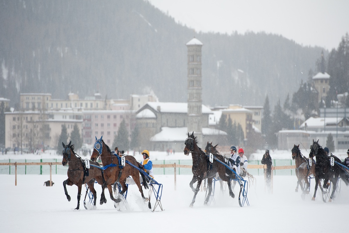 Gallop the Globe – Skikjöring in St. Moritz