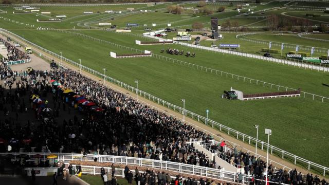 Cheltenham Festival – Day 2 Preview