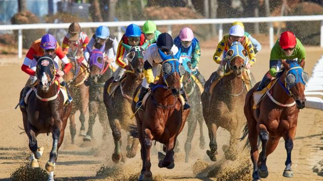 Preakness Stakes Betting Guide: Understanding the 2026 Race