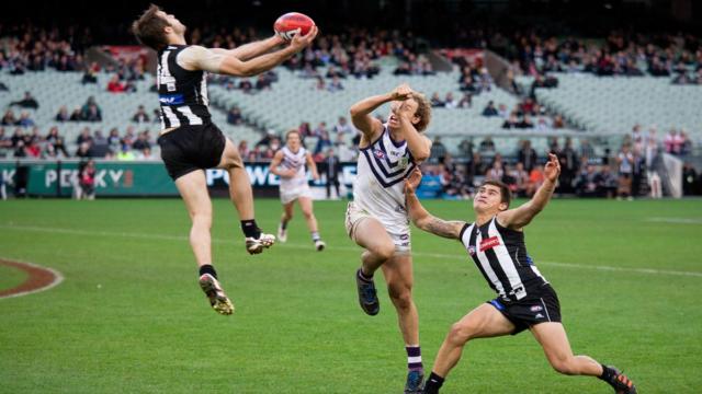 AFL Rules Explained for Beginners: How Aussie Rules Football Works