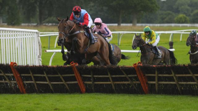 Horse Racing Rules Explained: How Races Work and Key Terms