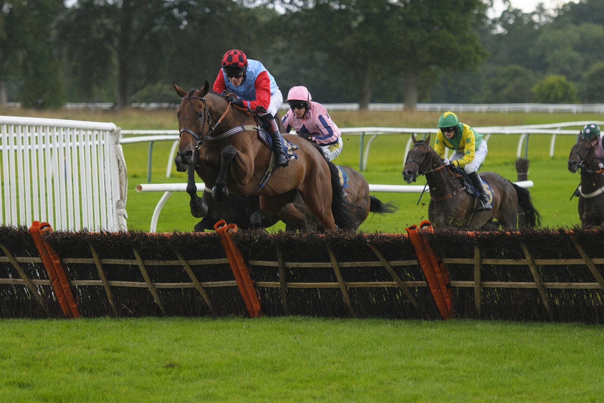 Horse Racing Rules Explained: How Races Work and Key Terms