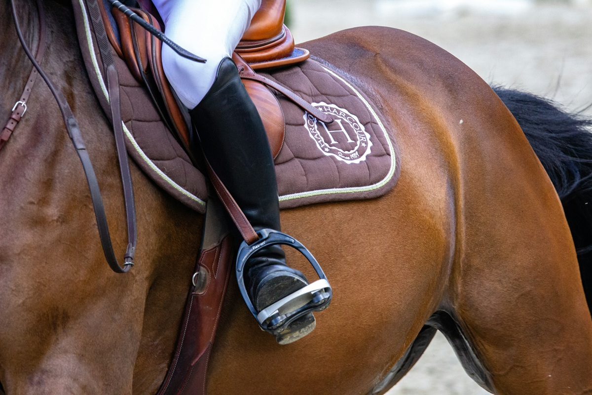 5 Key Factors That Shape the Preakness Odds Favorites Each Year