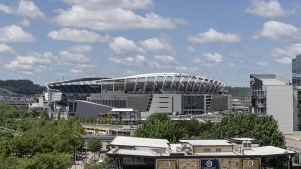 Cincinnati Bengals training camp brawl and ensuing social media backlash ahead of NFL preseason
