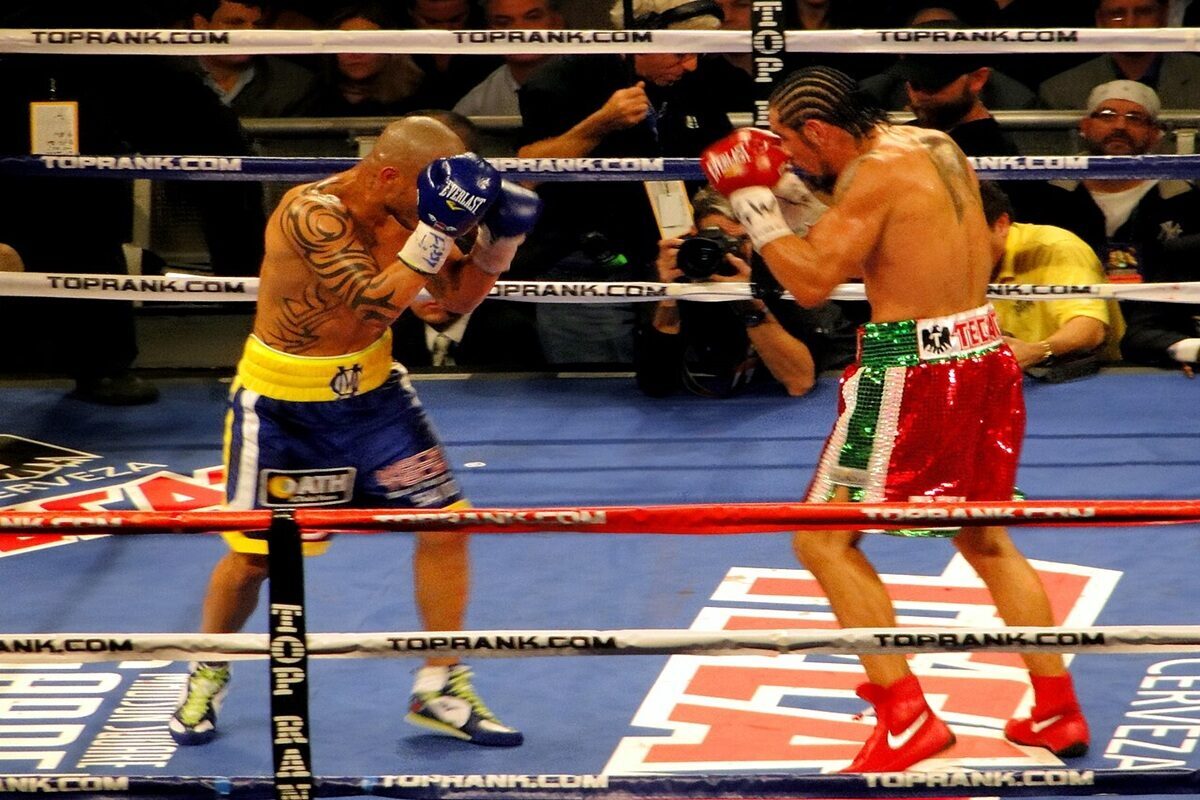 Miguel Cotto Profile: Puerto Rico’s Four-Weight Warrior Who Never Chose the Easy Fight