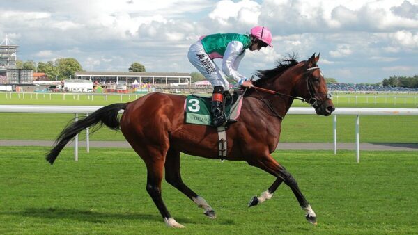Frankel: Dominance on the Track and Lasting Impact on Thoroughbred Racing